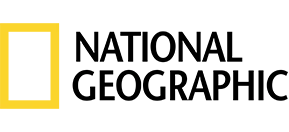sdsds1.webp