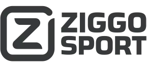 zigoo.webp